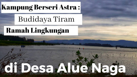 Kampung Berseri Astra : Budidaya Tiram Ramah Lingkungan Di Desa Alue Naga