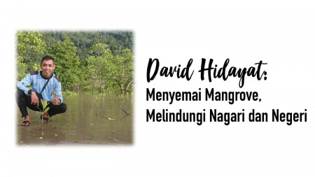 David Hidayat: Menyemai Mangrove, Melindungi Nagari dan Negeri