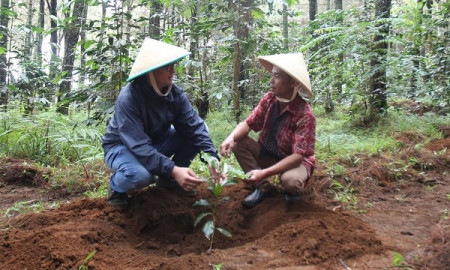 Kolaborasi Penerapan Pertanian Terpadu di KBA Suntenjaya
