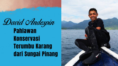David Andespin, Pahlawan Konservasi Terumbu Karang dari Sungai Pinang