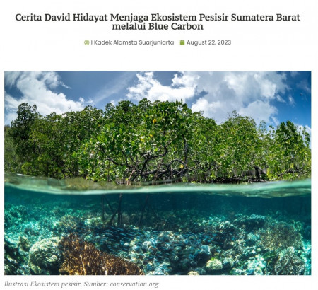 Cerita David Hidayat Menjaga Ekosistem Pesisir Sumatera Barat melalui Blue Carbon