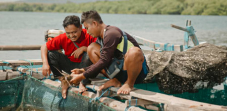 Bantu Nelayan Budidaya Lobster Menggunakan Lobstech